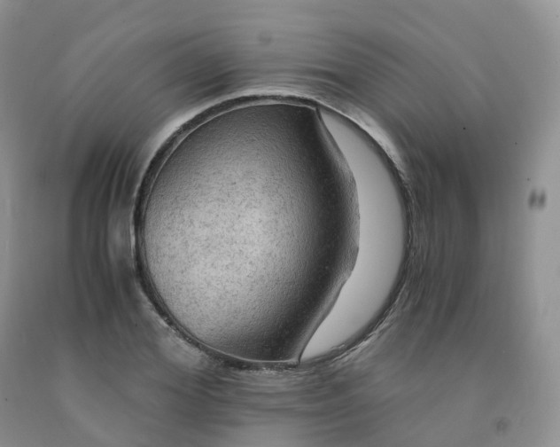 X0000092000980200709201505