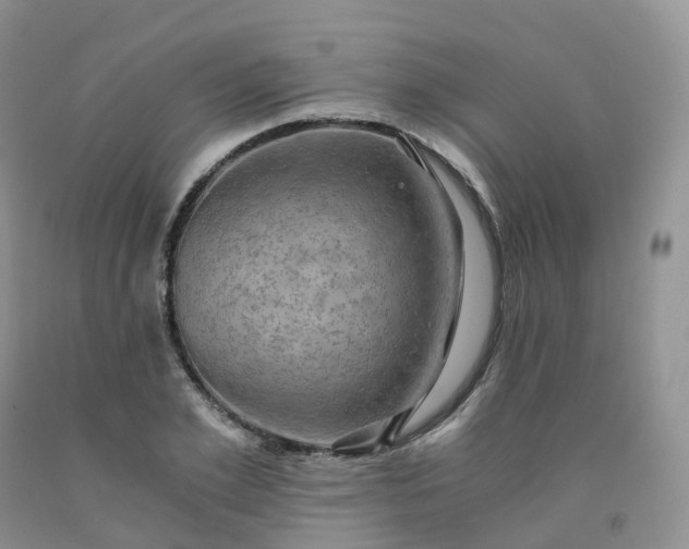 X0000092000981200709201505