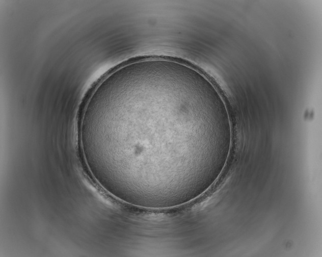 X0000092000982200709201505