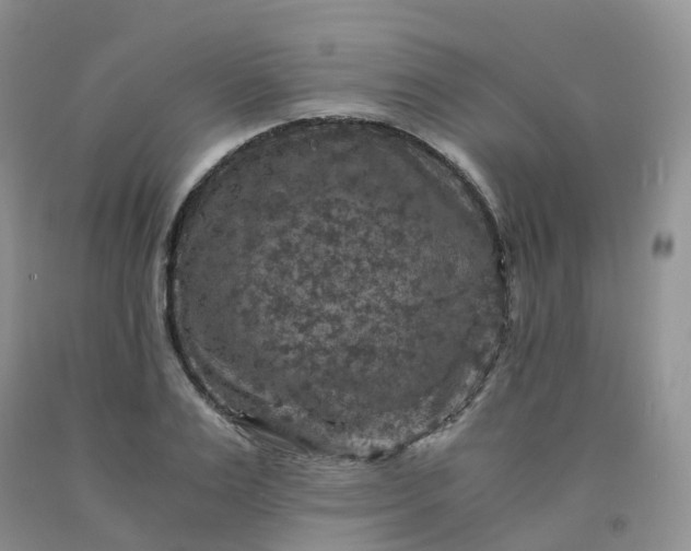 X0000092000983200709201505