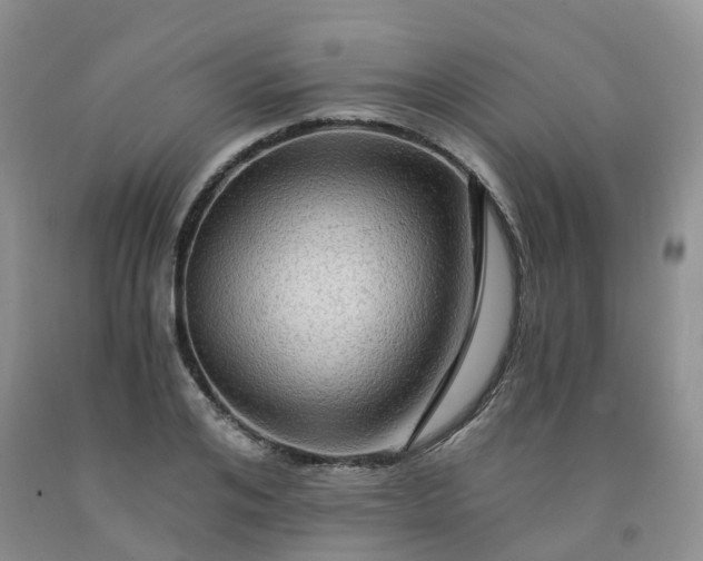 X0000092000984200709201505