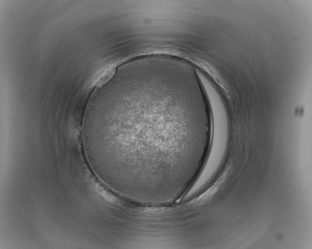 X0000092000985200709201505