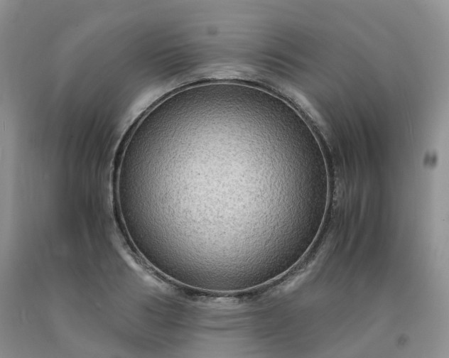 X0000092000986200709201505