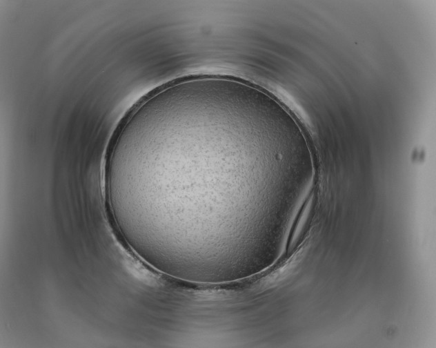 X0000092000988200709201505