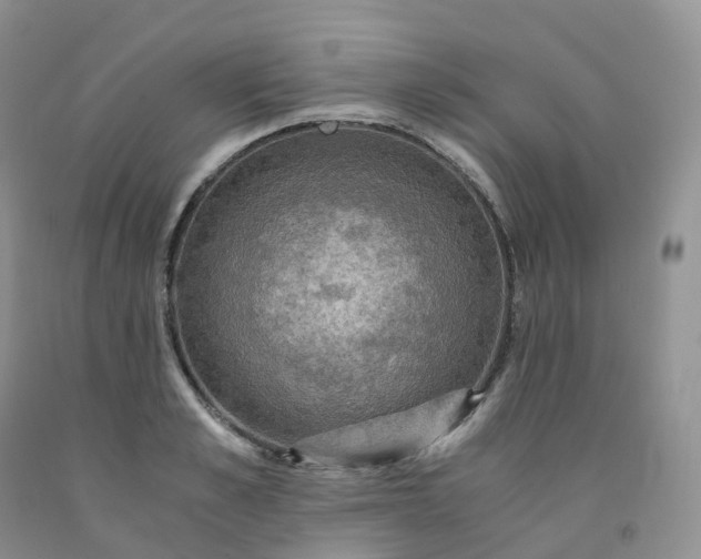 X0000092000989200709201505