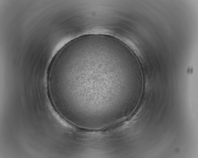 X0000092000990200709201505