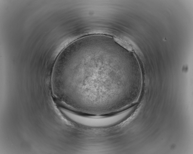 X0000092000993200709201505