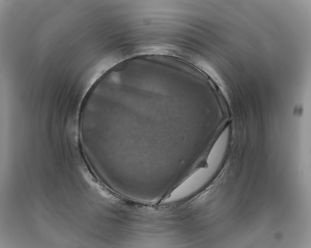 X0000092000994200709201505