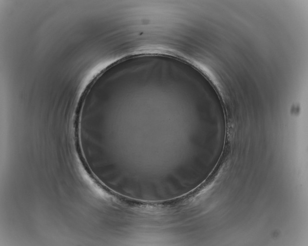 X0000092000995200709201505