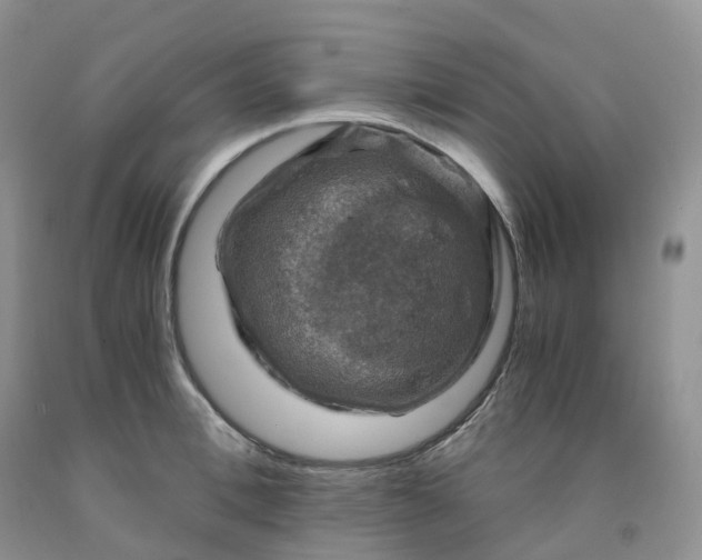 X0000092000996200709201505