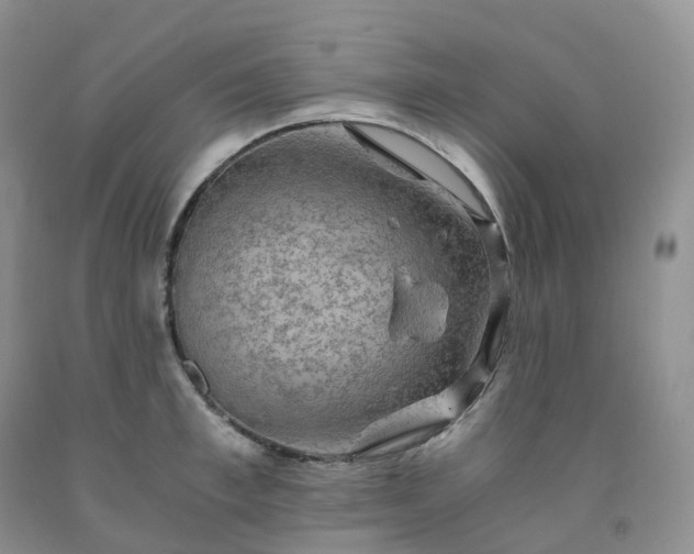 X0000092000997200709201505