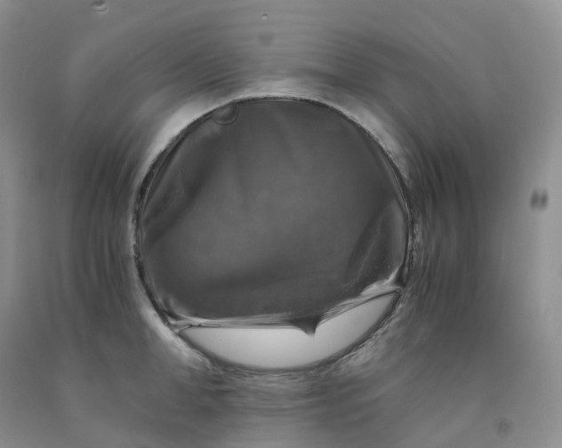 X0000092000998200709201505