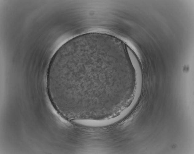 X0000092000999200709201505