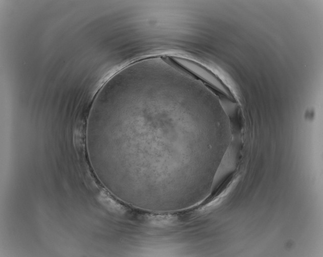 X0000092001001200709201505