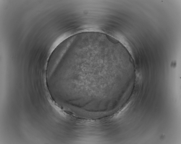 X0000092001002200709201505