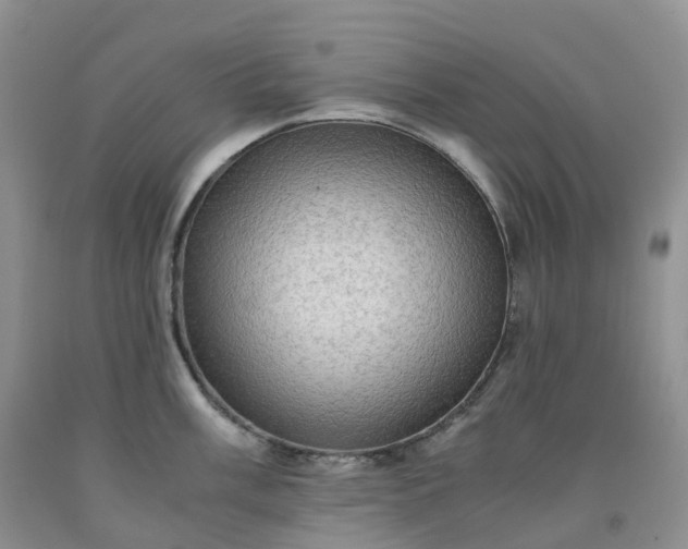 X0000092001003200709201505