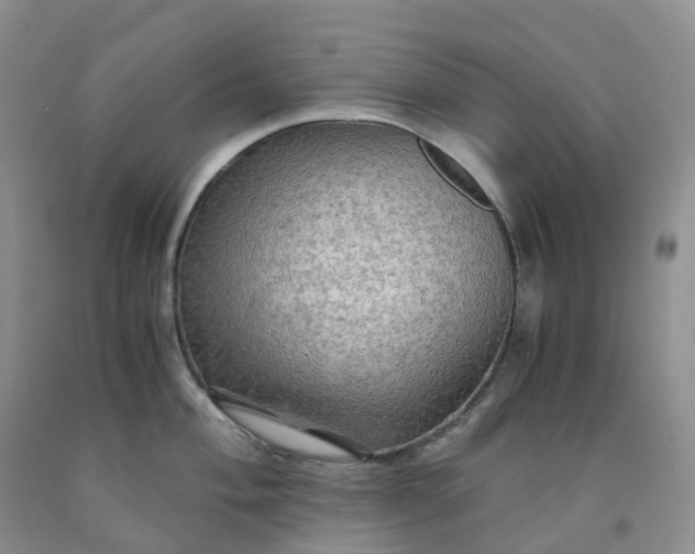 X0000092001004200709201505