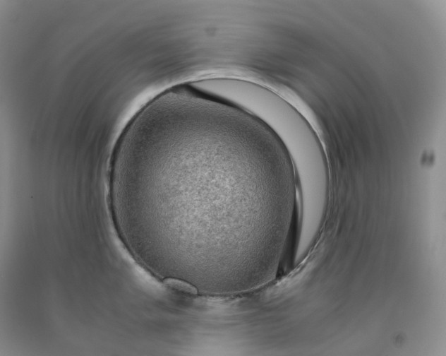 X0000092001005200709201505