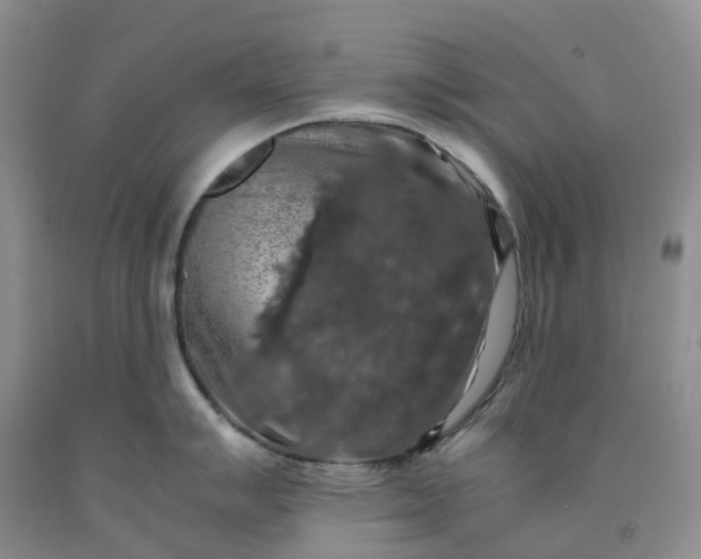 X0000092001007200709201505