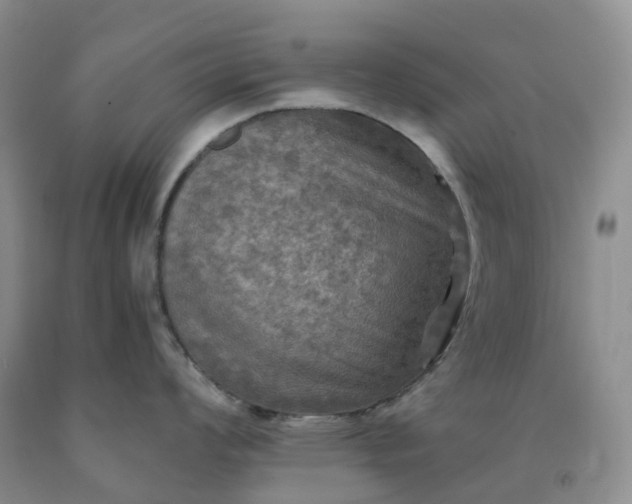 X0000092001008200709201505