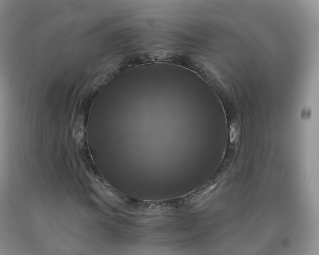 X0000092001011200709201504