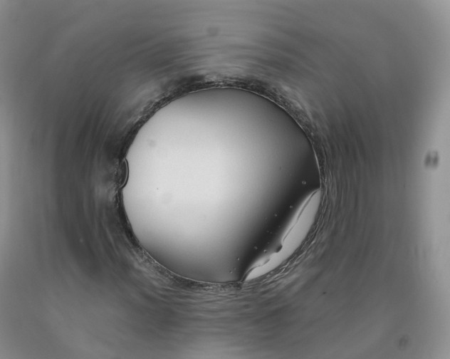 X0000092001012200709201504