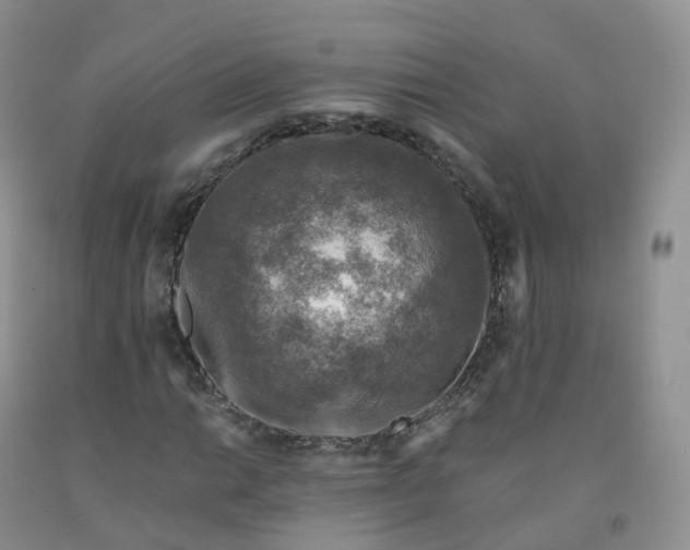 X0000092001014200709201504