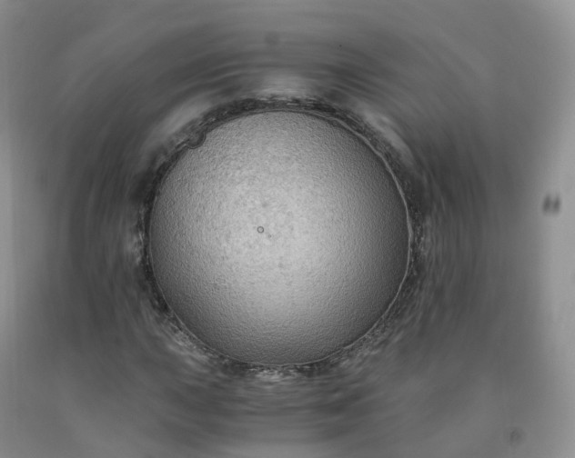 X0000092001015200709201504