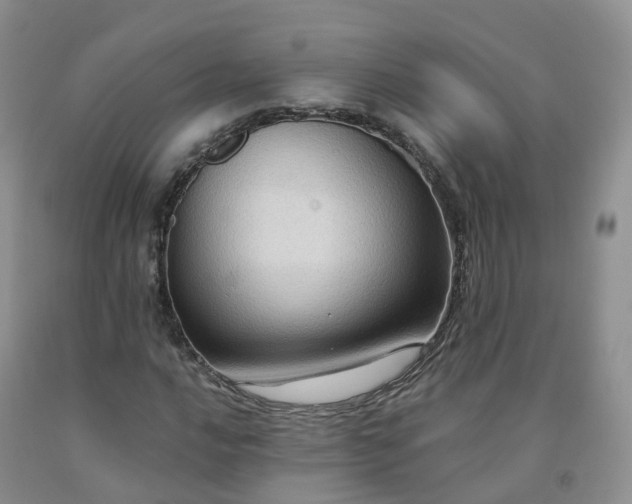 X0000092001016200709201504