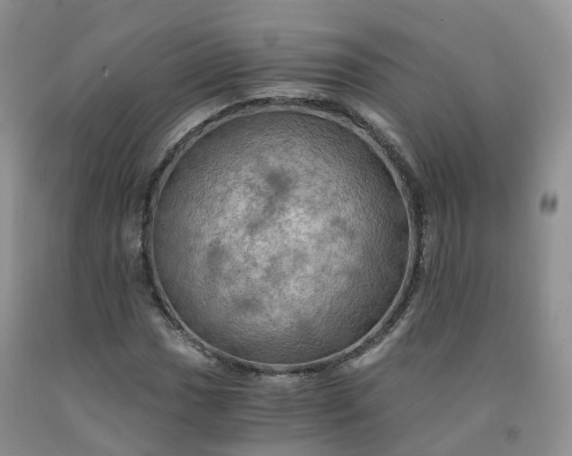 X0000092001017200709201504