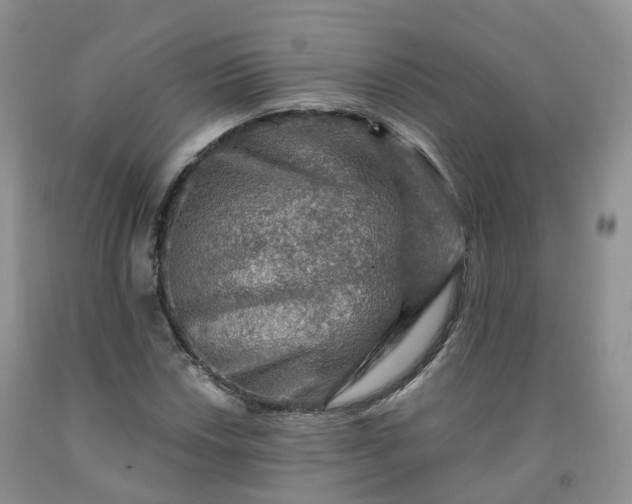 X0000092001018200709201504