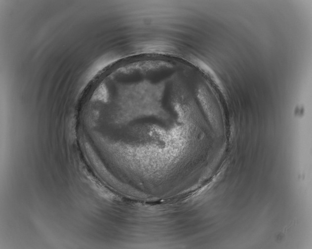 X0000092001019200709201504