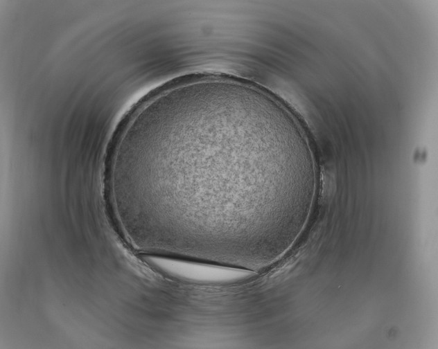 X0000092001020200709201504