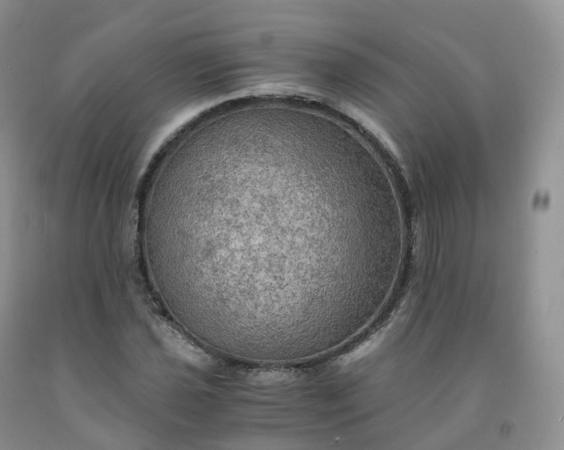 X0000092001021200709201504