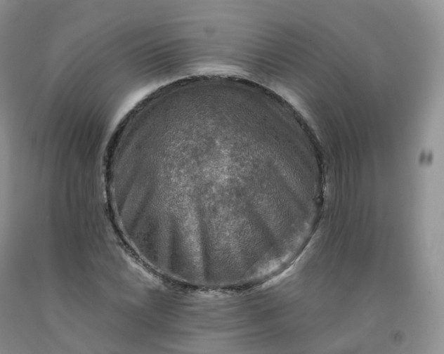 X0000092001022200709201504