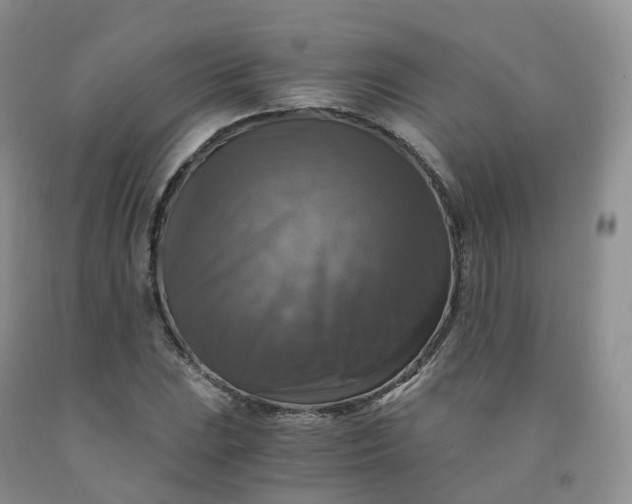 X0000092001023200709201504