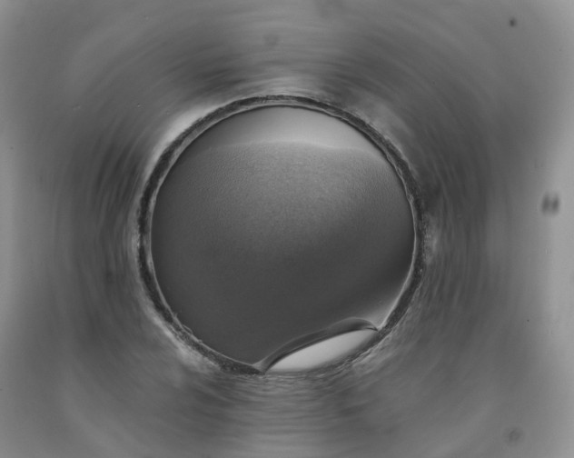 X0000092001024200709201504