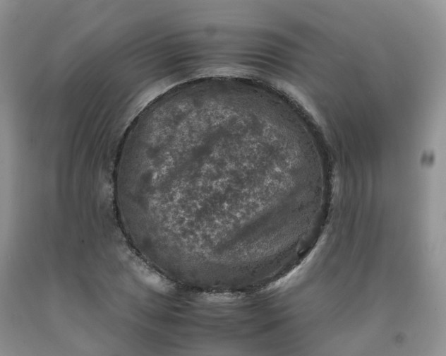 X0000092001025200709201504