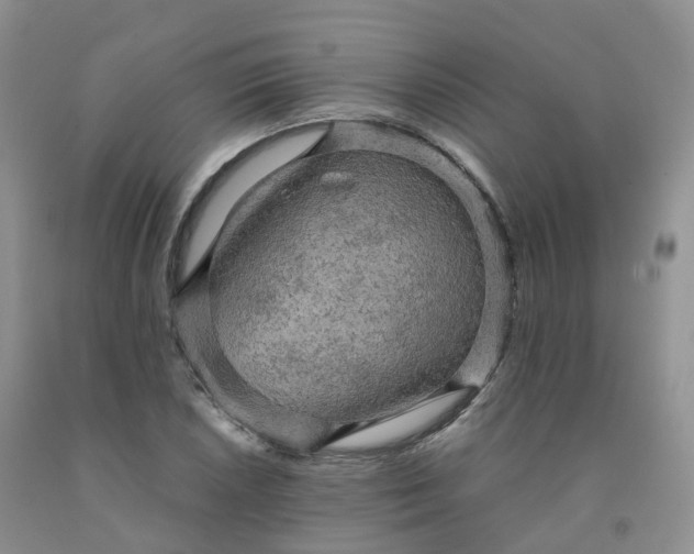 X0000092001026200709201504