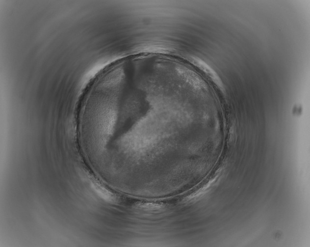 X0000092001027200709201504