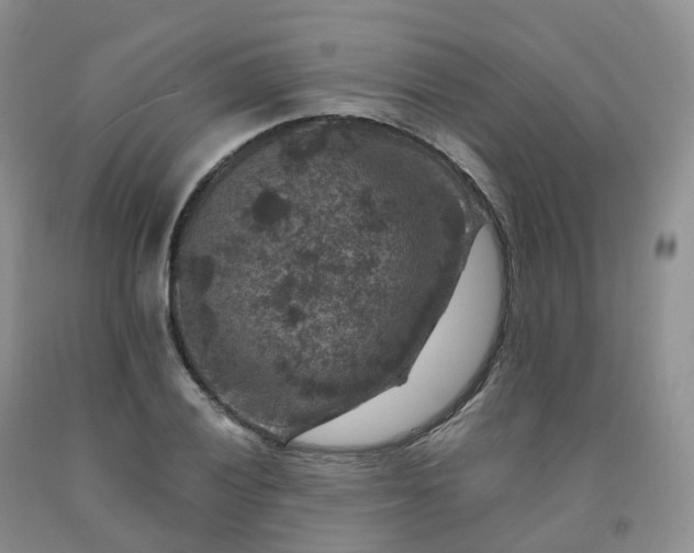 X0000092001028200709201504