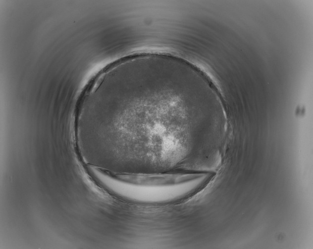 X0000092001030200709201504