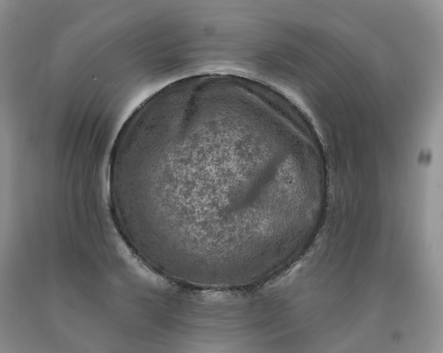 X0000092001032200709201504