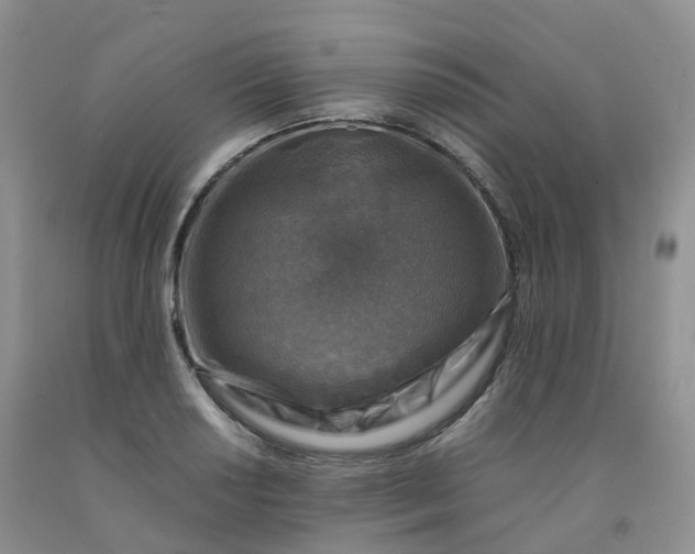 X0000092001034200709201504