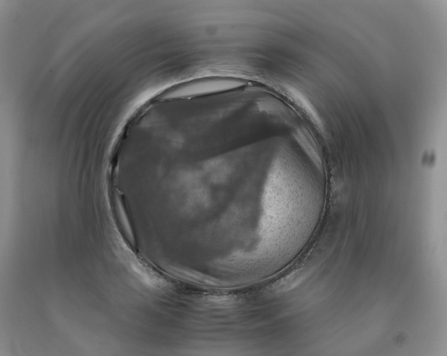 X0000092001035200709201505