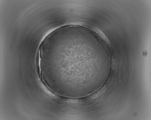 X0000092001036200709201505