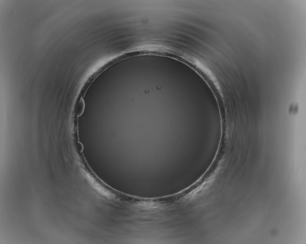 X0000092001037200709201505