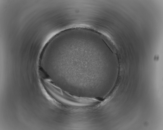 X0000092001038200709201505