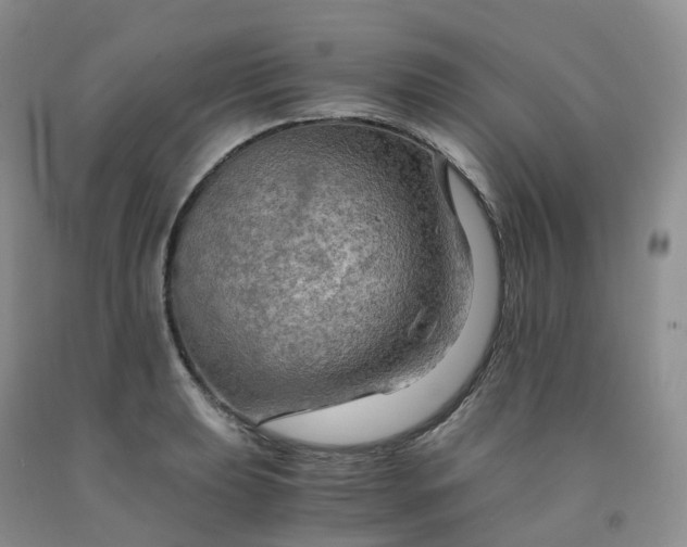 X0000092001039200709201505