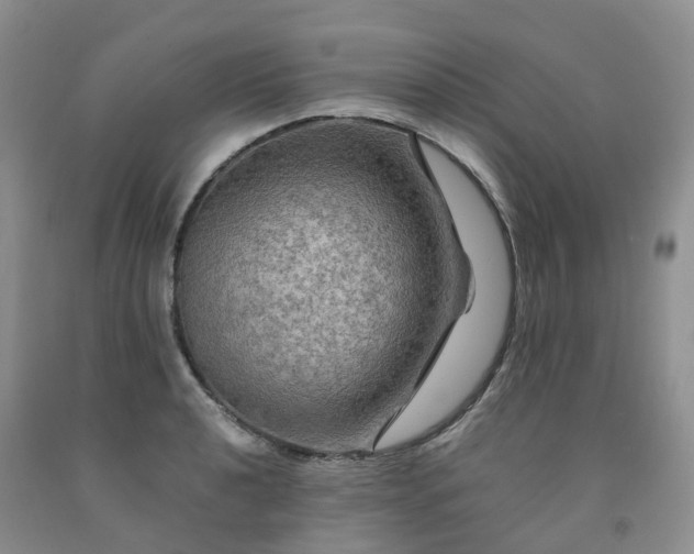 X0000092001040200709201505